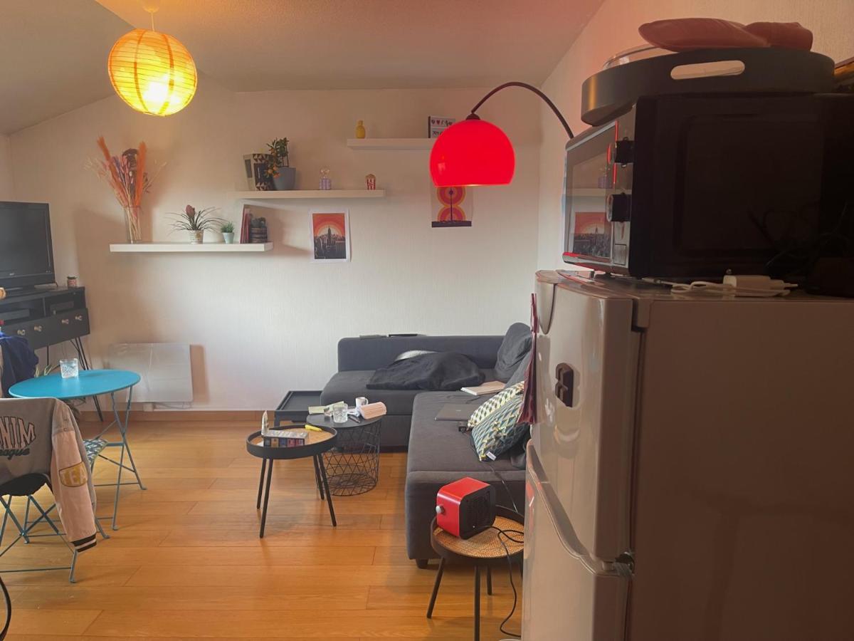 Appartement Au Centre Ville De Toulouse Eksteriør bilde